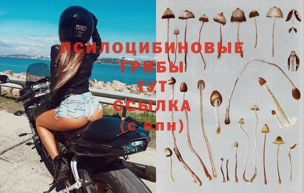 а пвп мука Инсар