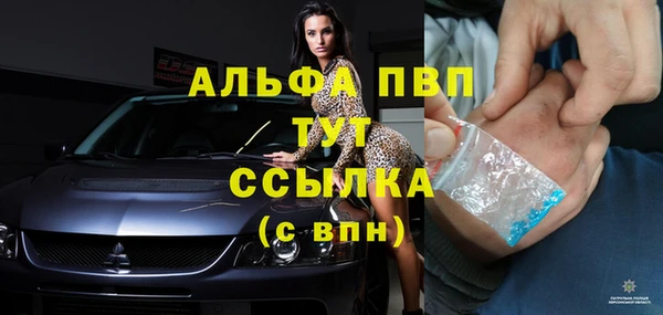 эйфоретик Инта