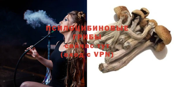 молекула духа Каменск-Шахтинский