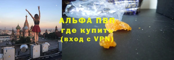 эйфоретик Инта
