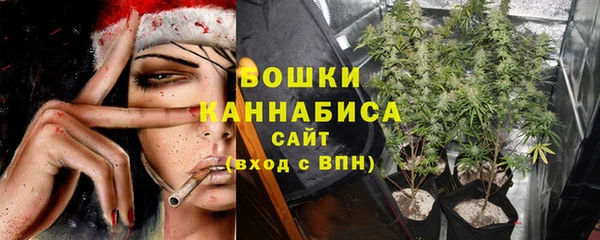 а пвп мука Инсар