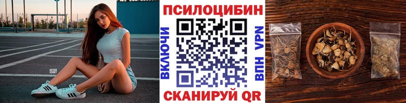 Купить  Елизово  Псилоцибиновые грибы ЛСД 